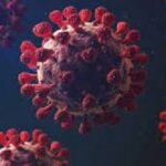 করোনায় আরও দুইজনের মৃত্যু, শনাক্ত ৭১