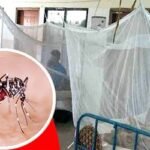 ডেঙ্গুতে আরও ৯ জনের মৃত্যু, হাসপাতালে ভর্তি ২২৯৩