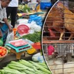 দাম কমেনি সবজির, বেড়েছে মুরগির