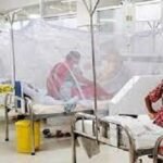 ডেঙ্গুতে এ বছর মৃত্যু ৩৫০ ছাড়াল