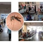 ডেঙ্গুতে আরও ১৪ জনের মৃত্যু, নতুন ভর্তি ২৪৩২