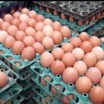 ডিমের বাজারে অস্থিরতা, সিন্ডিকেটের কাছে সবাই অসহায়