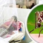 ডেঙ্গুতে আরও ১৭ মৃত্যু, হাসপাতালে ২৩০৮