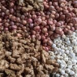 ঊর্ধ্বমুখী পেঁয়াজের বাজার, দাম বেড়েছে আদা-রসুনেরও