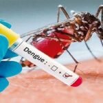 ডেঙ্গুতে ১৮ দিনে প্রাণ গেল ২১৫ জনের