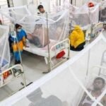 ডেঙ্গুতে মৃত্যু ৫০০ ছুঁই ছুঁই