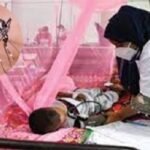 ডেঙ্গুতে আরও ৯ জনের মৃত্যু, হাসপাতালে ভর্তি ১৫৬৫