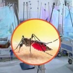 হাসপাতালে ডেঙ্গু রোগী ভর্তির সব রেকর্ড ভাঙল