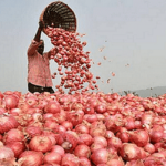 ঢাকায় পেঁয়াজের কেজি ১০০ টাকার বেশি