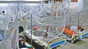 ডেঙ্গুতে একদিনে আরও ১৪ জনের মৃত্যু