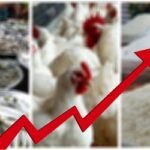 দেশের মূল্যস্ফীতিতে ২৪ বিশিষ্ট নাগরিকের উদ্বেগ