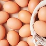 ডিম আমদানিতে মানতে হবে যেসব শর্ত