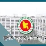 কাগজে-কলমে ১৩ আয়রন ব্রিজ, বাস্তবে নেই