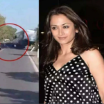 শাহরুখের নায়িকার গাড়ির ধাক্কায় ভয়াবহ দুর্ঘটনা, ইতালিতে সুইস দম্পতির মৃত্যু (ভিডিও)