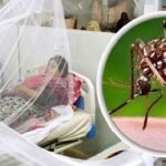 ডেঙ্গুতে আরও ৯ জনের মৃত্যু, হাসপাতালে ২৬১৭