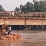 ব্রিজের সঙ্গে ধাক্কা, ১৯০ মণ ধানভর্তি নৌকা ডুবল নদীতে