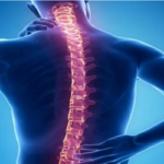 বিশ্ব স্পাইন দিবস ও মেরুদণ্ডের রোগ
