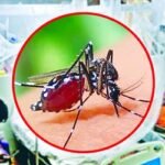 ডেঙ্গুতে আরও ৯ জনের মৃত্যু, হাসপাতালে ২০৫৬ রোগী