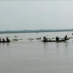 ঝালকাঠির সুগন্ধা-বিষখালীতে বেপরোয়া মৌসুমি জেলেরা, অবাধে চলছে মা ইলিশ নিধন