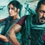 ভারত-পাকিস্তান ম্যাচে শোনা যাবে সালমান খানের গর্জন