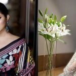 দ্বিতীয় অধ্যায়, নতুন সূচনা: পরীমনি