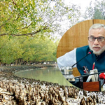 সুন্দরবনে বাঘ-কুমিরের আক্রমণে মারা গেলে ৩ লাখ টাকা ক্ষতিপূরণ