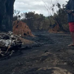 নাইজেরিয়ায় তেল শোধনাগারে বিস্ফোরণে ৩৭ জন নিহত