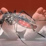 ডেঙ্গুতে আরো ৯ জনের মৃত্যু, বেড়েছে হাসপাতালে ভর্তি