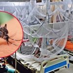 ডেঙ্গুতে আরও ১২ জনের মৃত্যু, হাসপাতালে ২৪৭৫ রোগী