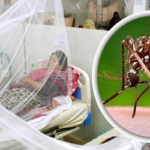 ডেঙ্গুতে আরও ১৩ জনের মৃত্যু