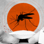 ডেঙ্গুতে ২৪ ঘণ্টায় আরও ১১ জনের মৃত্যু, হাসপাতালে ২৩৬৩