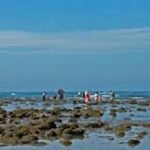 পর্যটকদের সেন্ট মার্টিন ছাড়ার নির্দেশ