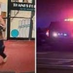 বন্দুকধারীর গুলিতে যুক্তরাষ্ট্রে ২২ জন নিহত