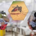২৪ ঘণ্টায় ডেঙ্গুতে ১৫ জনের মৃত্যু, হাসপাতালে ১৭২৮