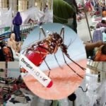 ডেঙ্গুতে আরও ১২ জনের মৃত্যু, হাসপাতালে ভর্তি ১৪৭০