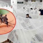 ডেঙ্গুতে আরও ৮ জনের মৃত্যু, ঢাকায় ৪