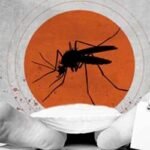ডেঙ্গুতে আরো ১৭ মৃত্যু, হাসপাতালে ১৭৩৪