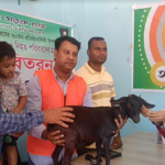 আশুলিয়ায় নিসচা’র ছাগল বিতরণ 