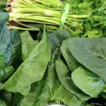 যেসব শাকে বাড়বে রোগ প্রতিরোধ শক্তি