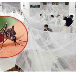 ২৪ ঘণ্টায় ডেঙ্গুতে ২ জনের মৃত্যু, হাসপাতালে ৩১১