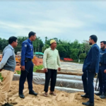 মাটিরাঙ্গায়  দুই ইটভাটাকে দেড় লাখ টাকা  জরিমানা করেছে ভ্রাম্যমান আদালত,কাঠ জব্দ