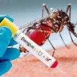 ডেঙ্গুতে আরও ৯ জনের মৃত্যু, হাসপাতালে ভর্তি ৪৫৯