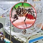 ২৪ ঘণ্টায় ডেঙ্গুতে ৭ জনের মৃত্যু, হাসপাতালে ভর্তি ৩৪৯