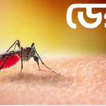 ২৪ ঘণ্টায় ডেঙ্গুতে একজনের মৃত্যু, হাসপাতালে ৮৯