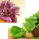 চোখকে ভালো রাখতে খান ৫ ড্রাইফ্রুটস