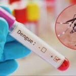 চলতি বছর ডেঙ্গু আক্রান্তের সংখ্যা হাজার ছাড়াল, নতুন শনাক্ত ২৫