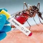 শীতেও ডেঙ্গুর দাপট, একদিনে ২ জনের মৃত্যু