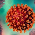 ২৪ ঘণ্টায় ৩৬ জনের করোনা শনাক্ত