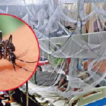 ২৪ ঘণ্টায় ডেঙ্গুতে একজনের মৃত্যু, হাসপাতালে ভর্তি ১০