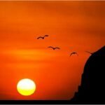 পবিত্র শবে বরাত রোববার